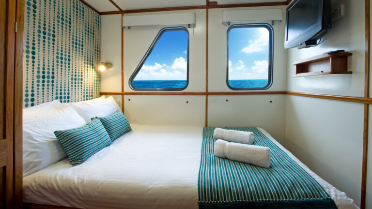 Ocean View Standard Cabin