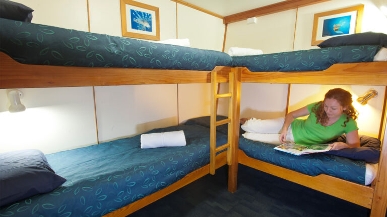 Quad Share Cabin