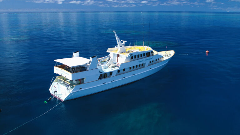 Dive vessel on the Great Barrier Reef