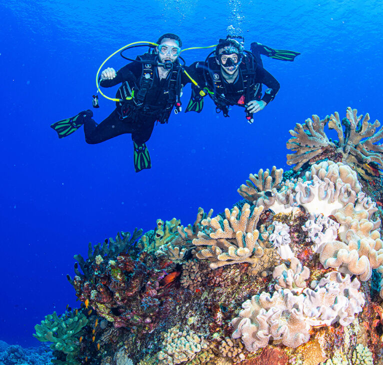 Spirit of Freedom - Coral Sea diving site