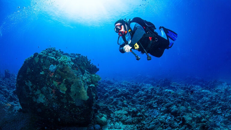 Scuba Diver explores Great Barrier Reef