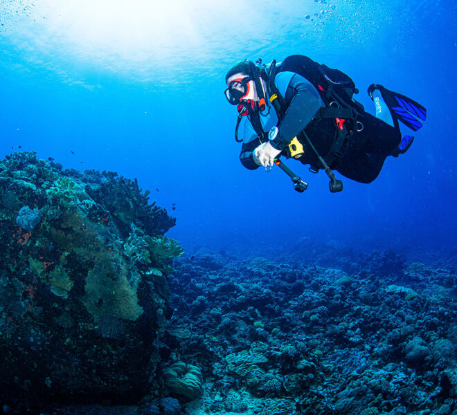 Scuba Diver explores Great Barrier Reef