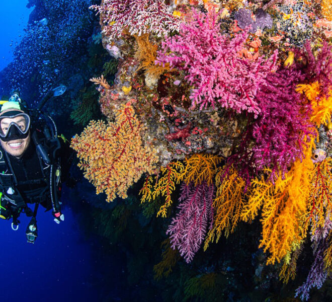 Wall diving Great Barrier Reef
