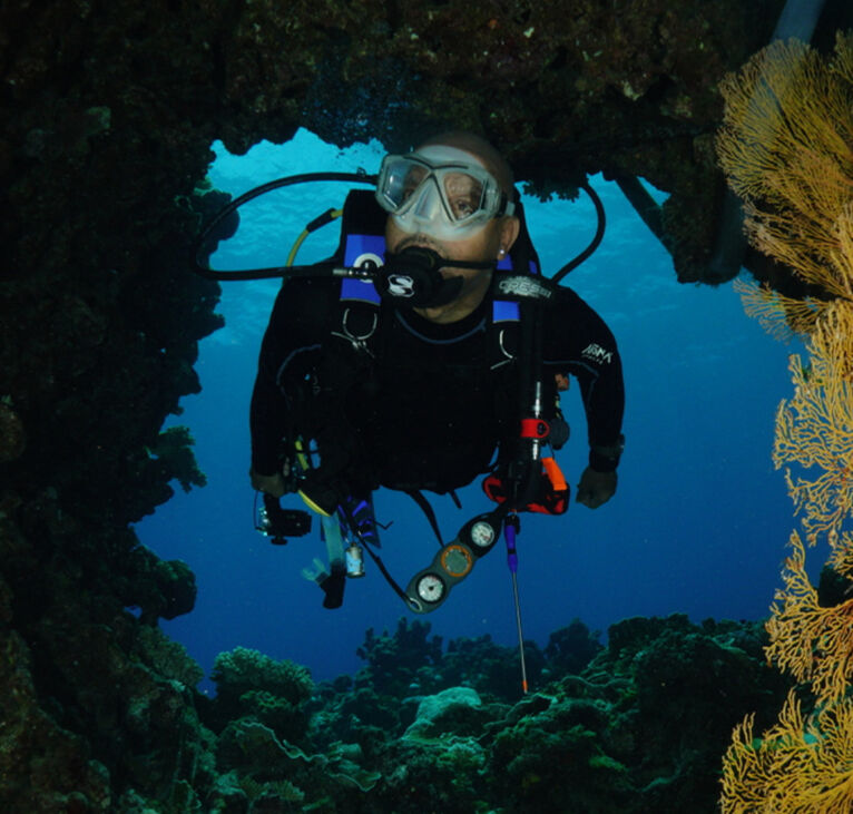 Coral Sea Caves