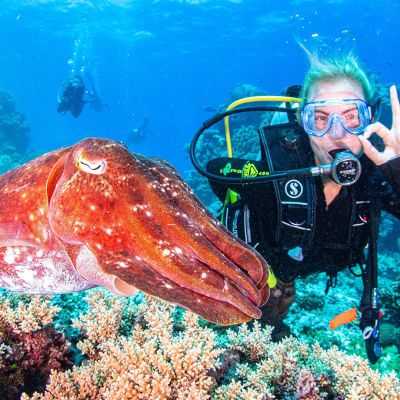 Ribbon Reef diver