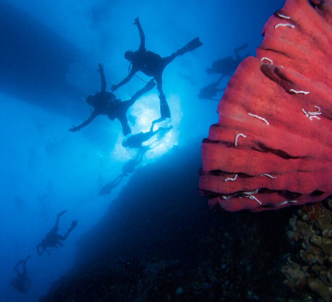 Two divers seen from below