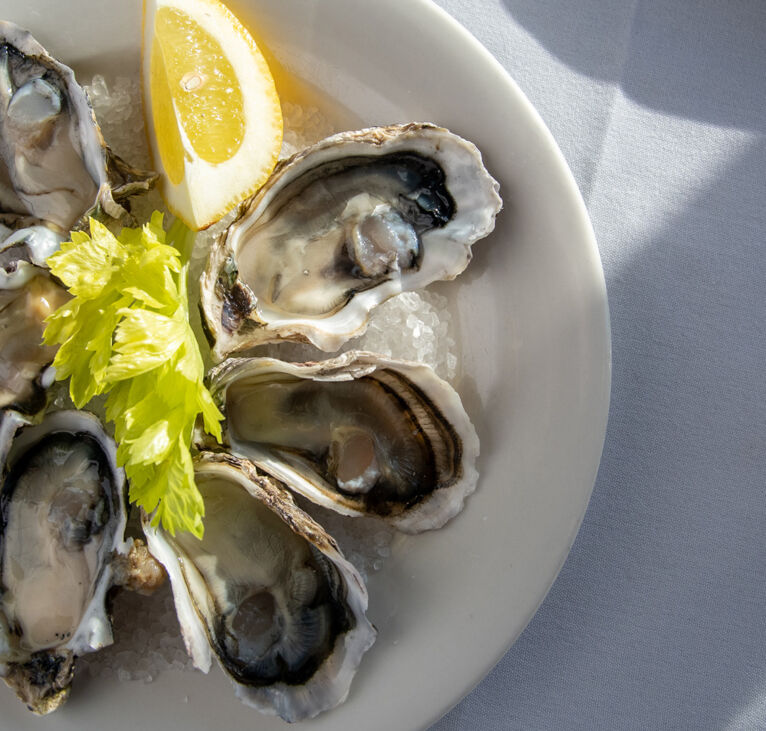 Oysters on Cairns dinner cruise