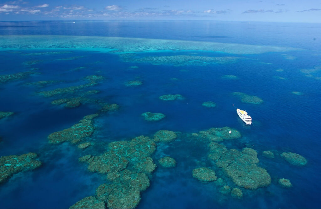 Spirit of Freedom diving the Great Barrier Reef