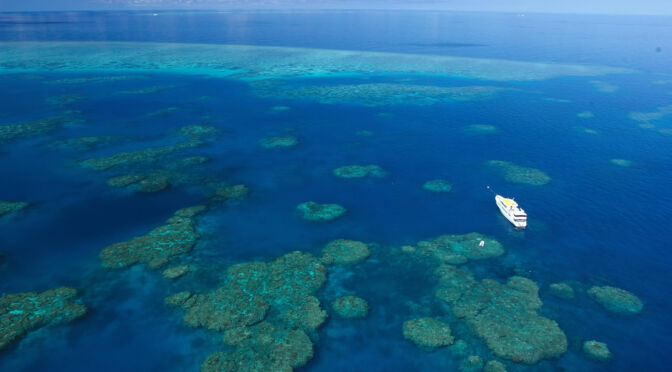 Spirit of Freedom diving the Great Barrier Reef