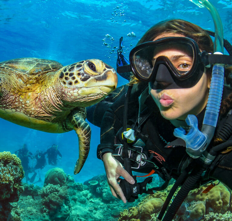 Cairns-Reef-Trip-diver
