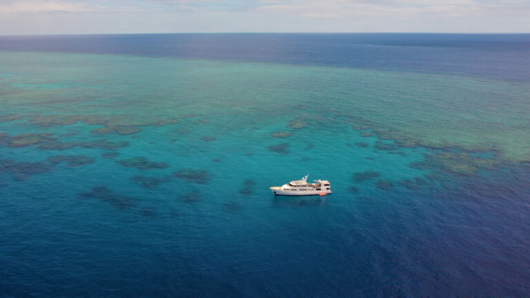 dive liveaboard Great Barrier Reef