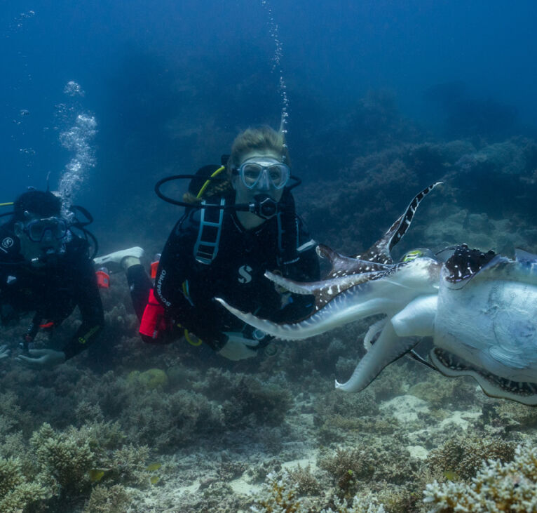 Spirit of Freedom-Cuttle Fish