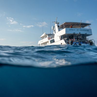 Spirit of Freedom-Exterior