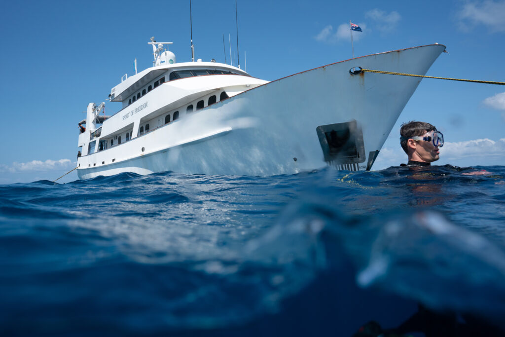 Dive the Great Barrier Reef with Spirit of Freedom