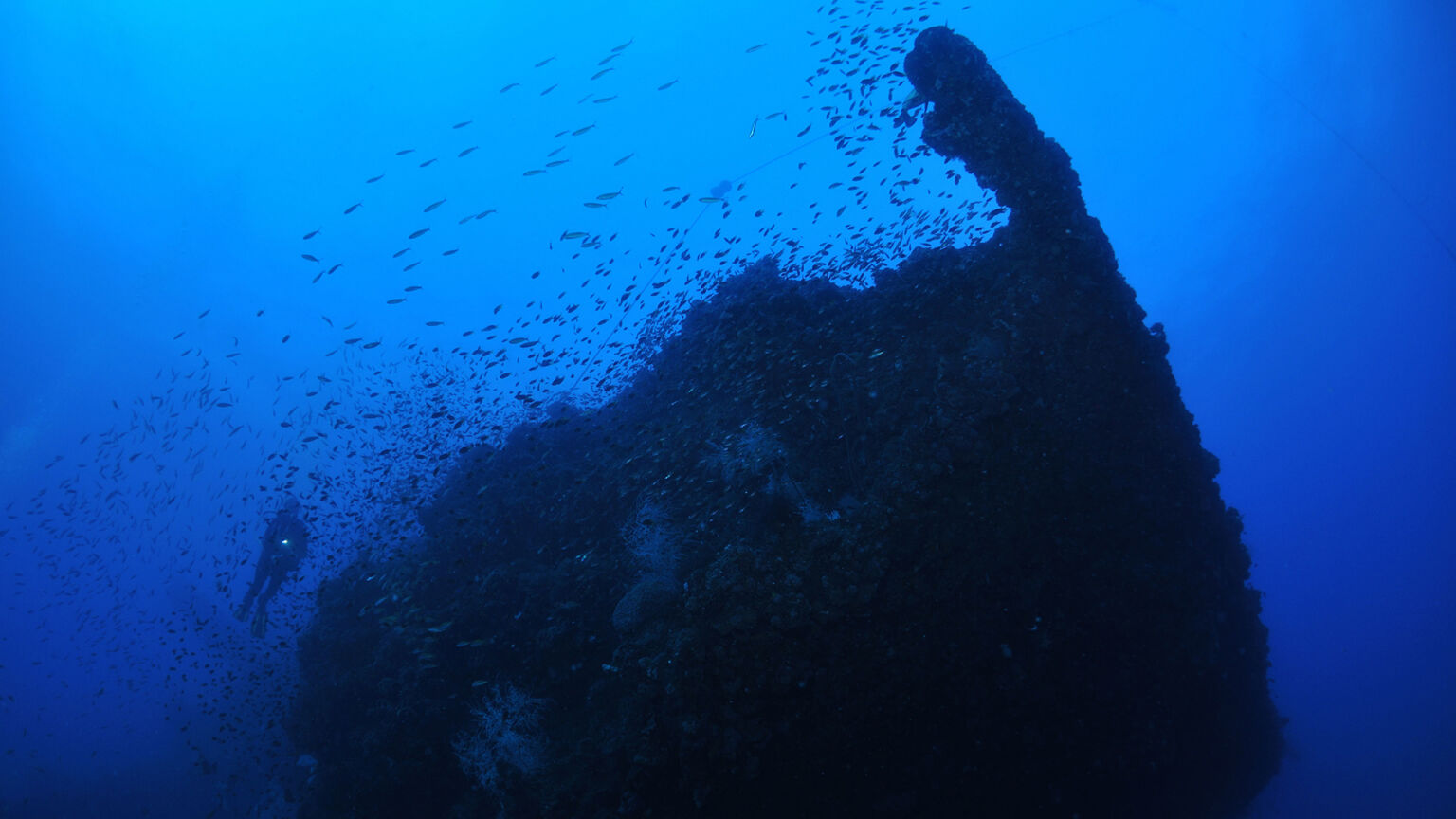 Liveaboard Dive Trip