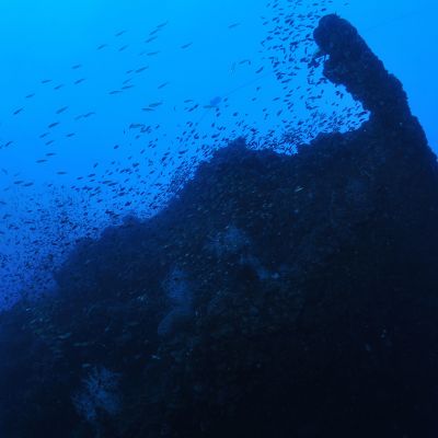 Liveaboard Dive Trip