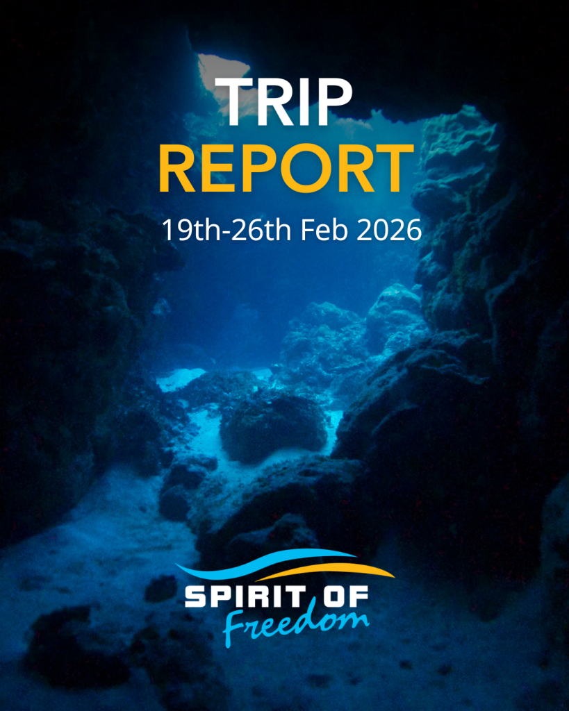 Trip Report 19th-26th Feb 2026