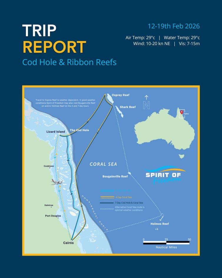 trip-cod-hole-ribbon-reefs